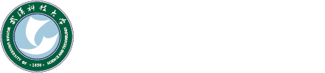 2025世俱杯官方用球